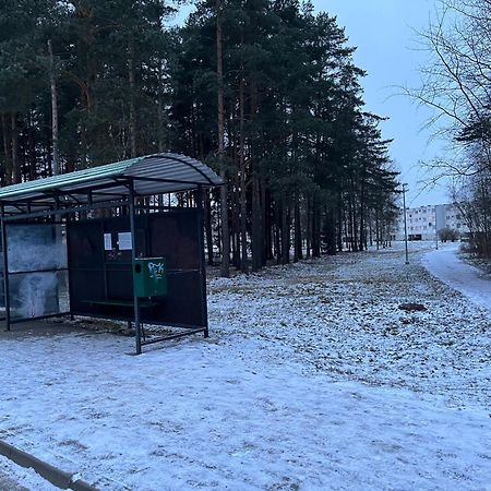Cosy Appartment. Puessi Town Pussi Екстер'єр фото