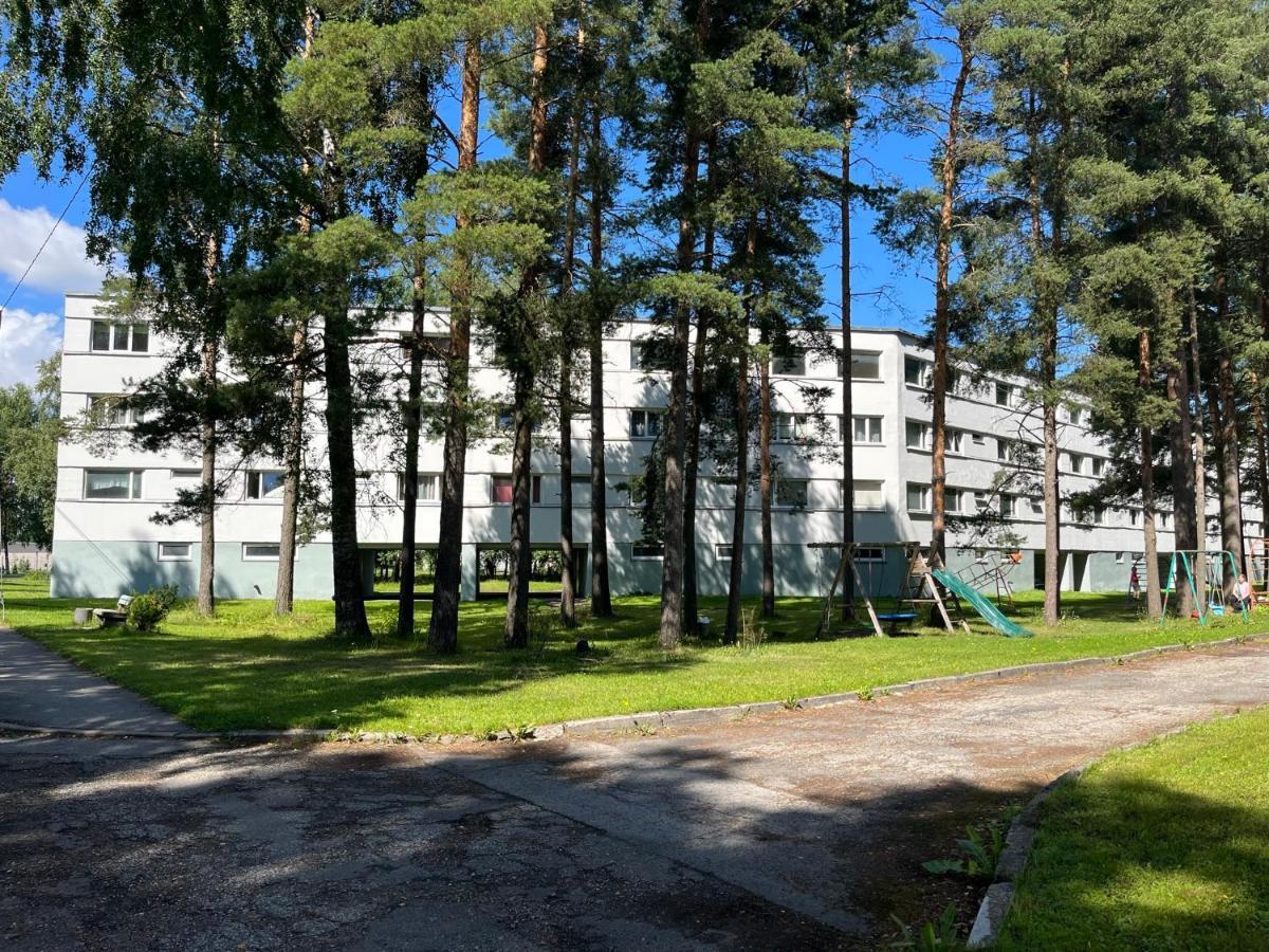 Cosy Appartment. Puessi Town Pussi Екстер'єр фото