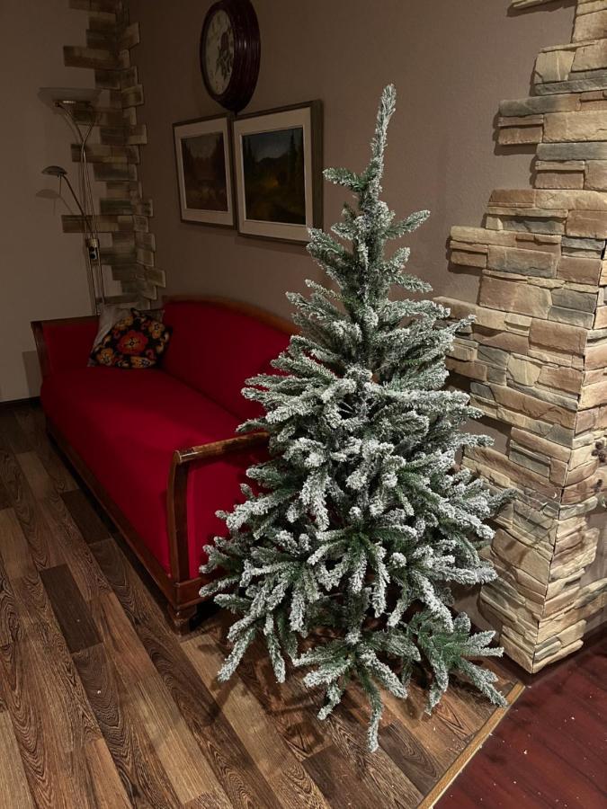 Cosy Appartment. Puessi Town Pussi Екстер'єр фото